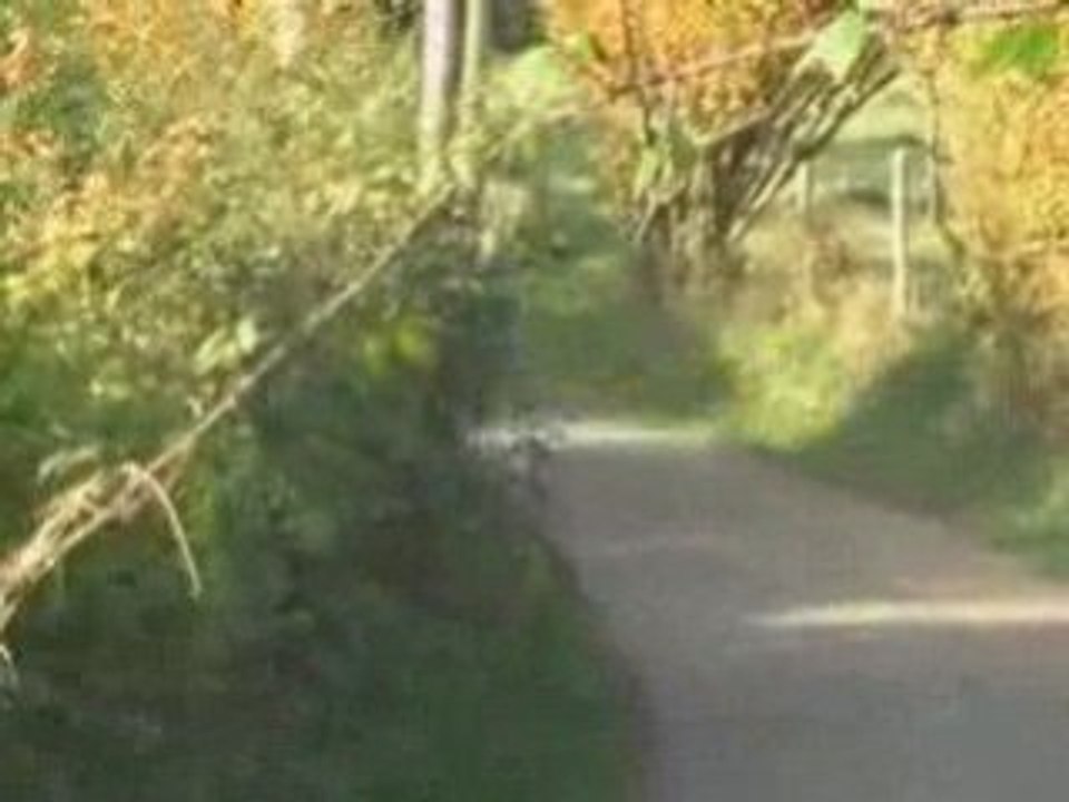 Thomas rallye Beuzeville 2007