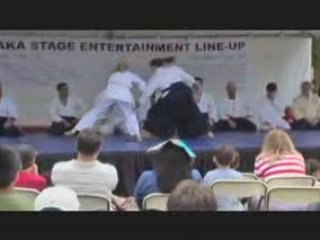 Aikido Exhibition at the Morikami Museum 2008 Diana