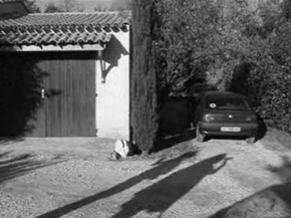 Héros dynamiques, Héros Romantiques