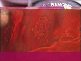 Eric Besson Vin Wine