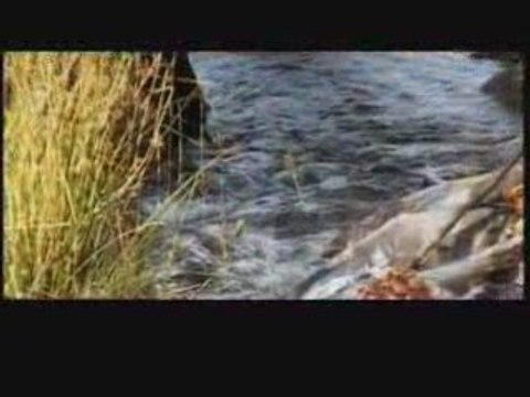 Nicolae Guta - Colindam Doamne, colind