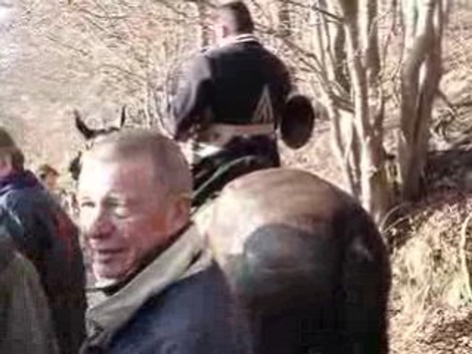 RTF  forêt de chantilly