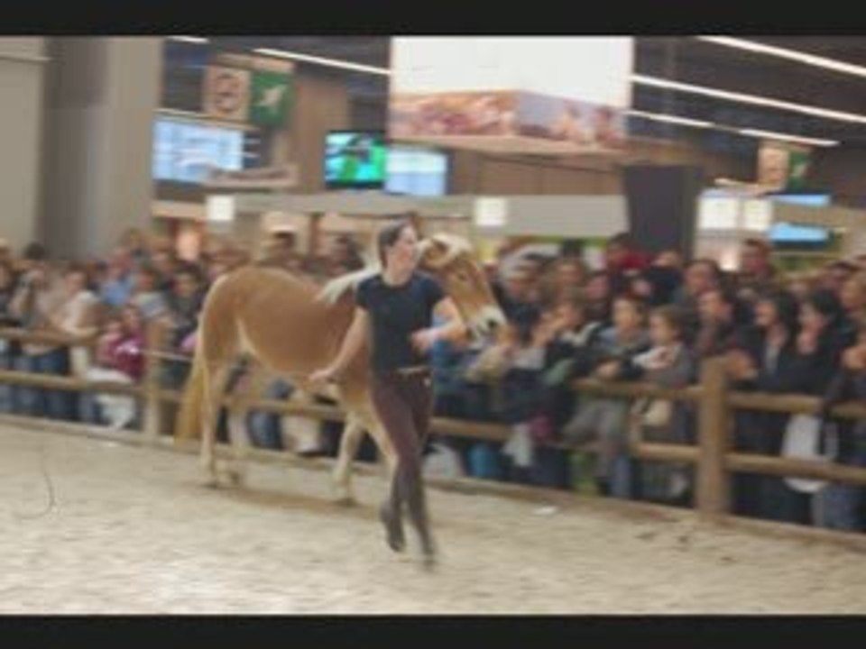 Pauline & Naïade - Salon du Cheval 2008