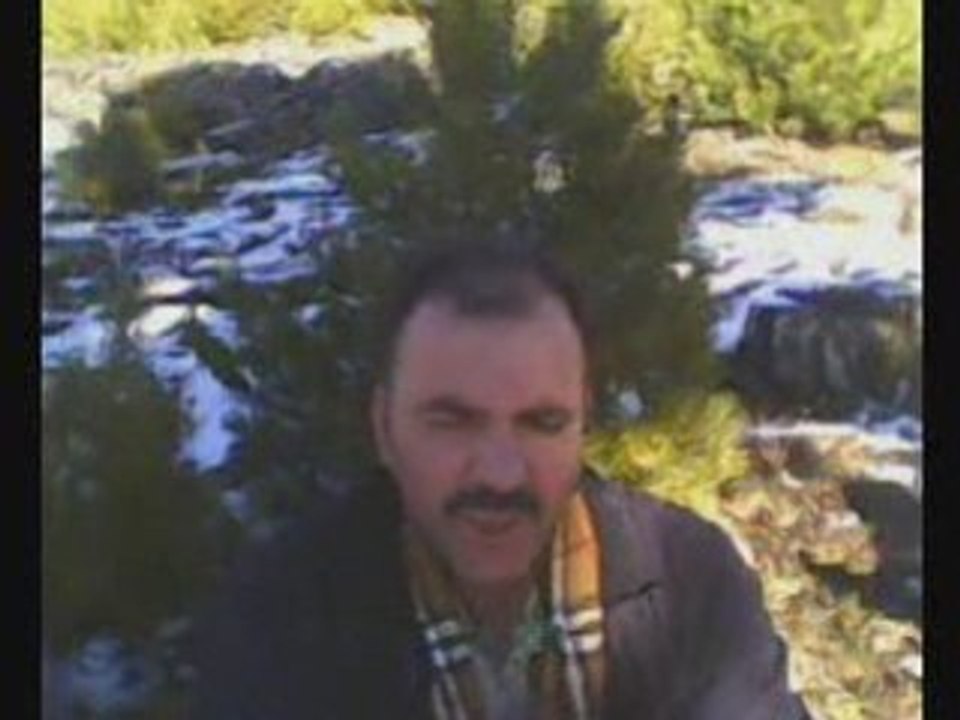 torosların aşıgı