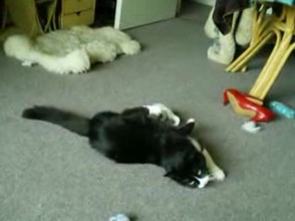 un chat et ...une souris de Noel