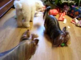 2008-12-25 CADEAUX 002
