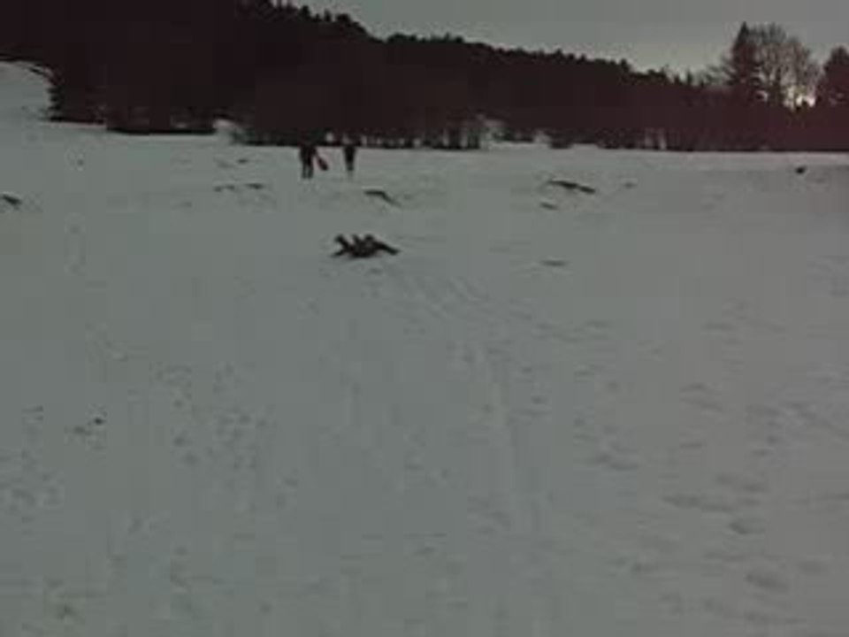 ski Niko Law