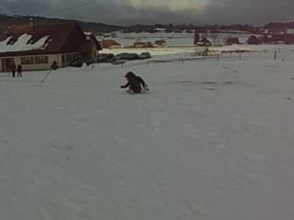 ski Niko Law