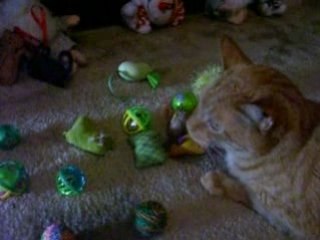 Kitty Christmas 2008 Part 2