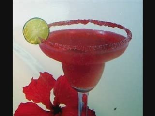 Ryan paris  dolce vita  2007 edit