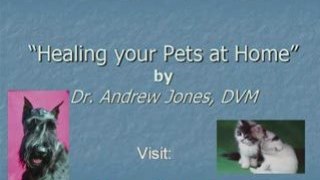 Vet Fees - Heal your Pet at Home!