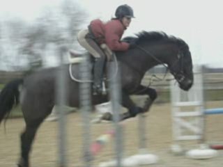 [besoin de vos avis] Léa et Odyssée CSO 80 cm