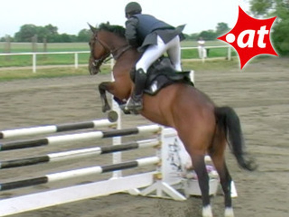 Klemens Zak, Springreiten, Kottingbrunn (2008-043)