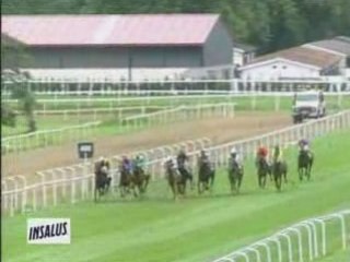 2008 (341) Premio Insalus (H) (MISTER DRAGO)