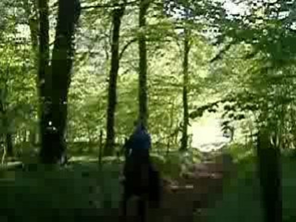 Galop dans le bois