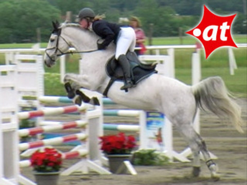 Nina Brand, Springreiten, Kottingbrunn (2008-045)