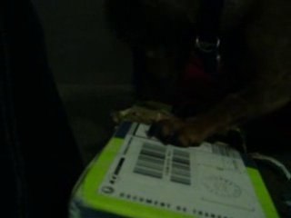 Le noel d'aramis le chien saucisse