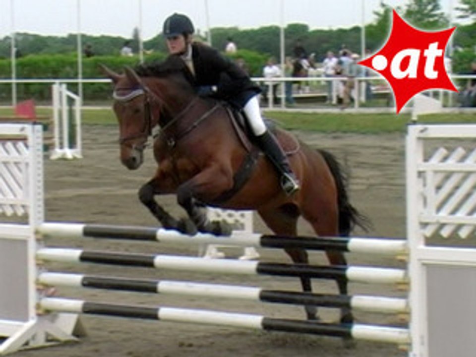 Petra Wiedner, Springreiten, Kottingbrunn (2008-046)