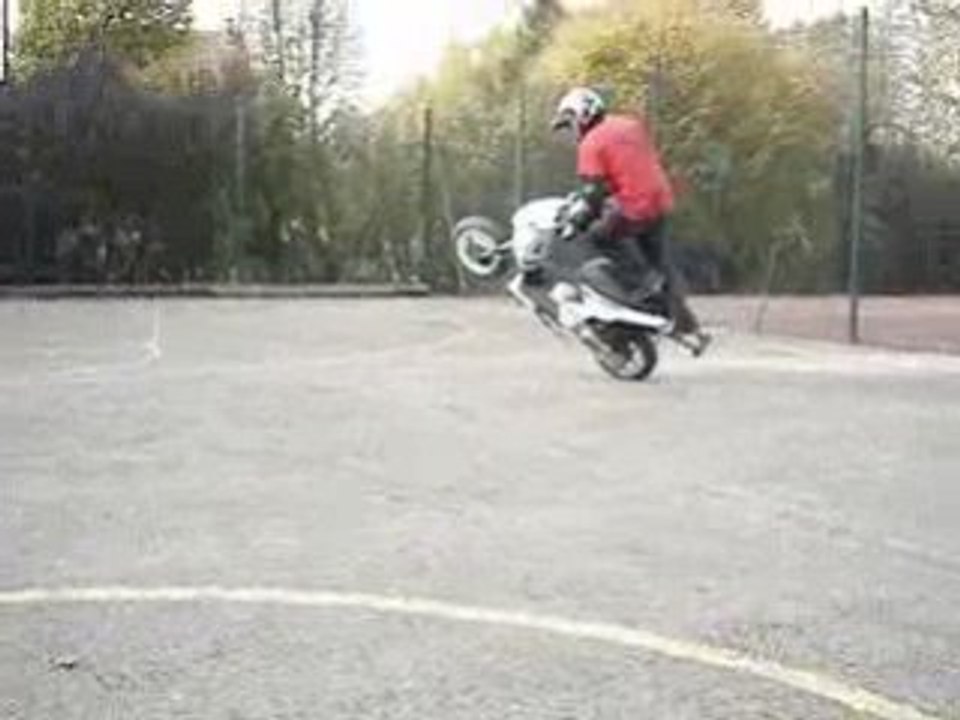 MOV01421