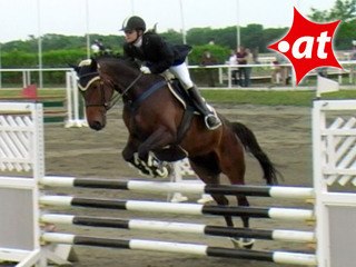 Valentina Kitzwögerer, Springreiten, Kottingbrunn (2008-048)