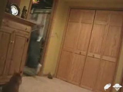 electrocuté à 7000 volts