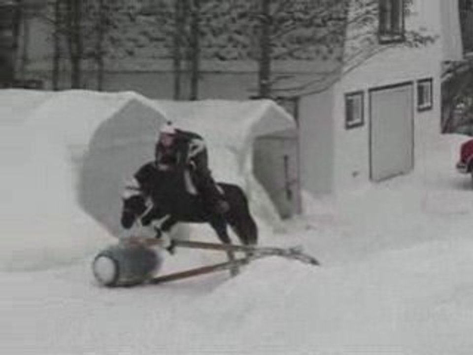 Saut obstacle.