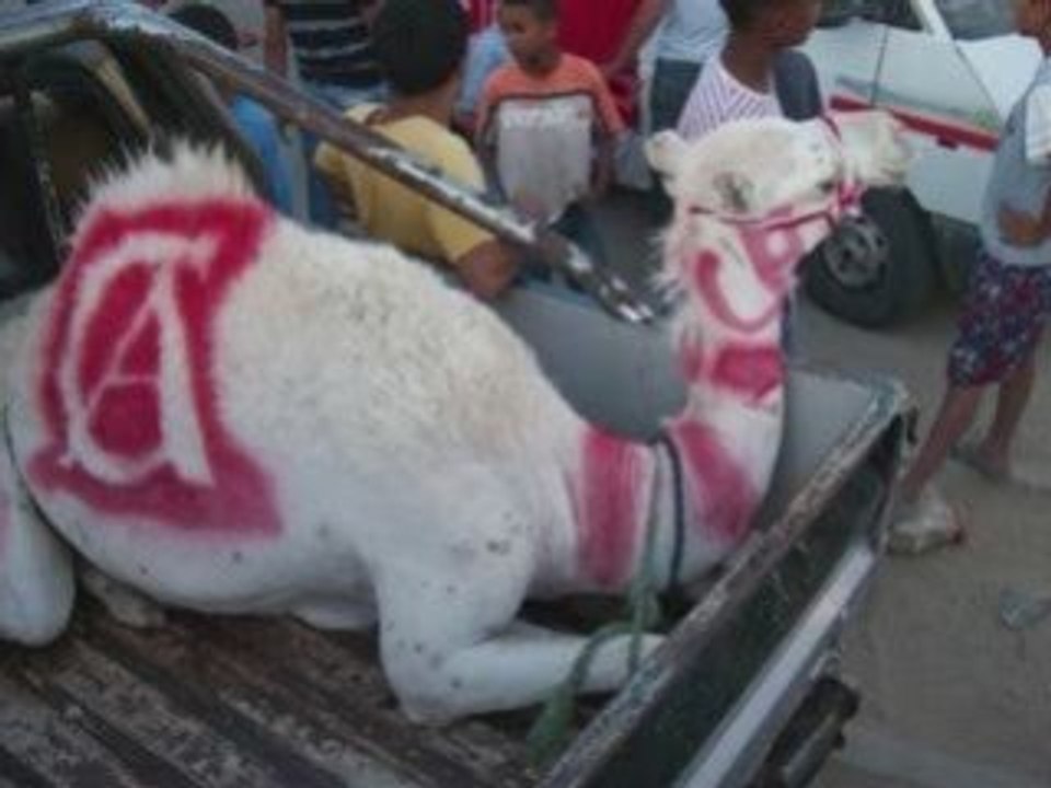 Dailymotion - Clubafricain CA, ein Video von taktouk_3. tuni