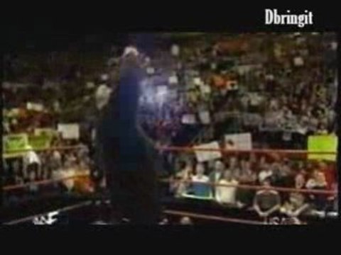 The Rock , Stone Cold, And Triple H Segment