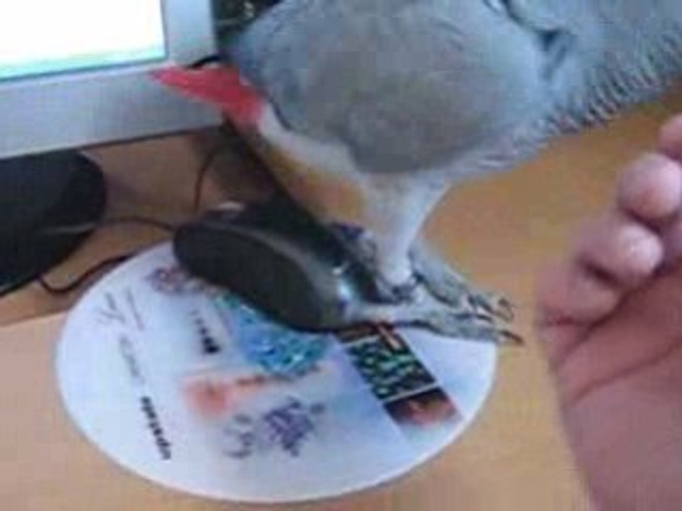 ImitationVilleretsoupeauxchoux