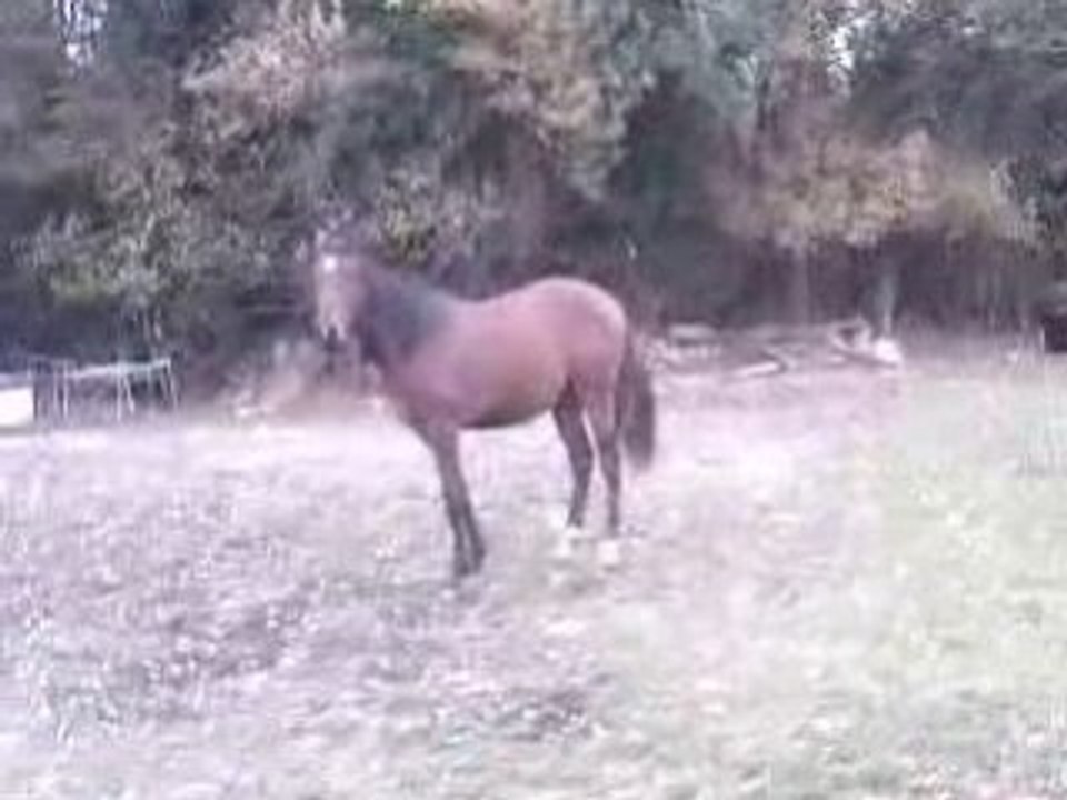 Trash pète un câble