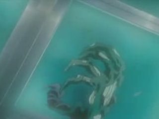 Tokko 05 partie 2 vostfr