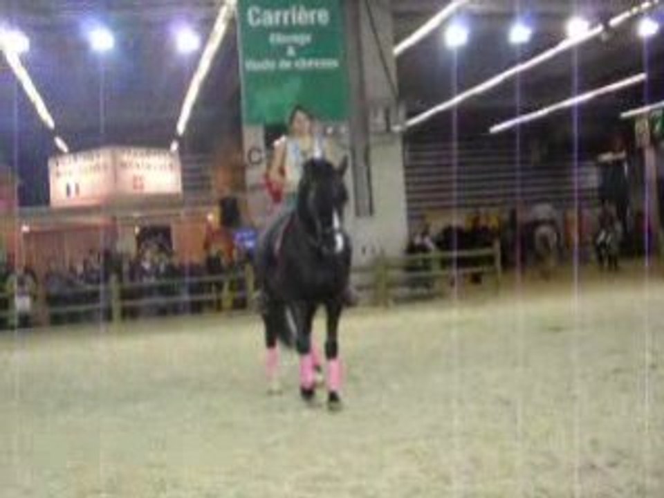 salon du cheval