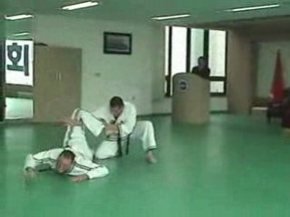 Jin Jung Kwan Hapkido demo