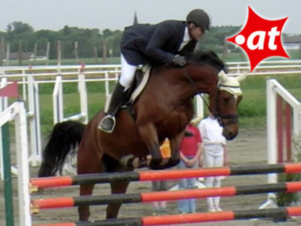 Rene Karlovatz, Springreiten, Kottingbrunn (2008-051)