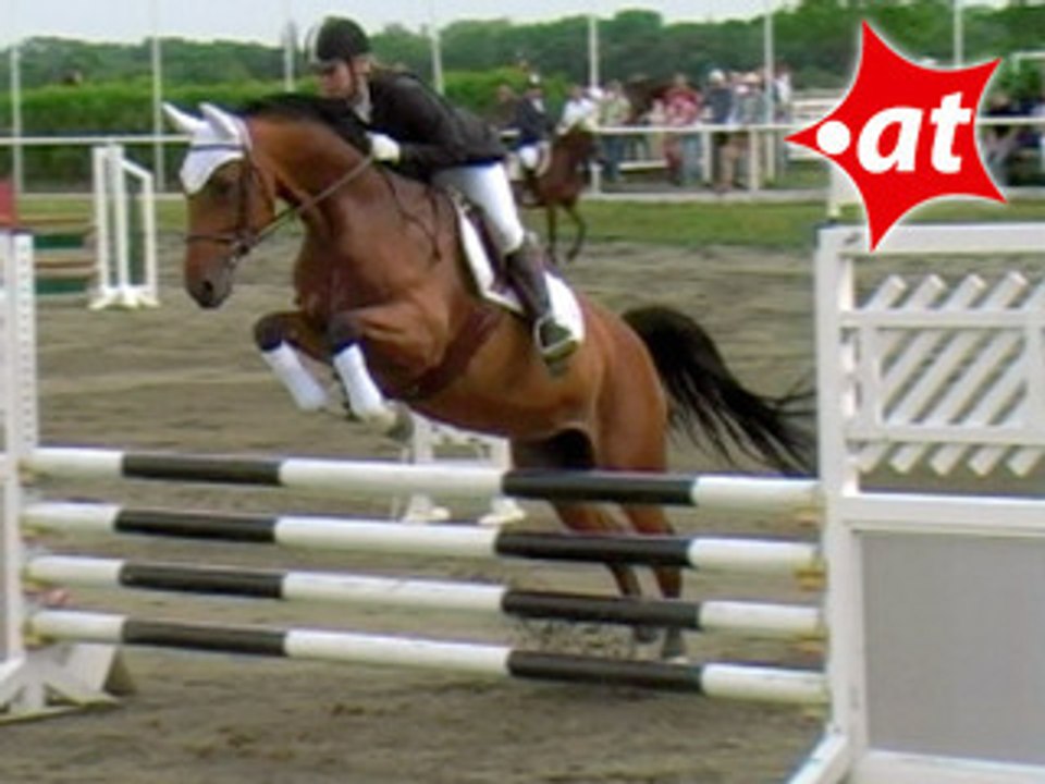 Marlene Agota, Springreiten, Kottingbrunn (2008-050)