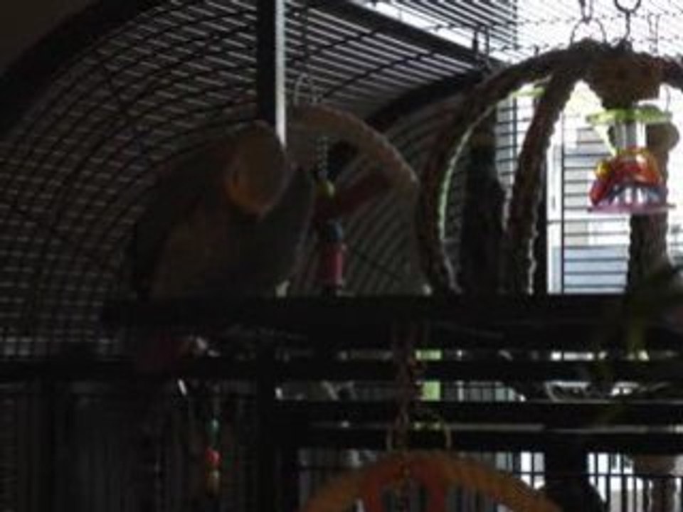 MOV03994