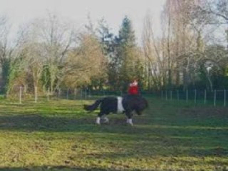 Pawnee -très courte vidéo-