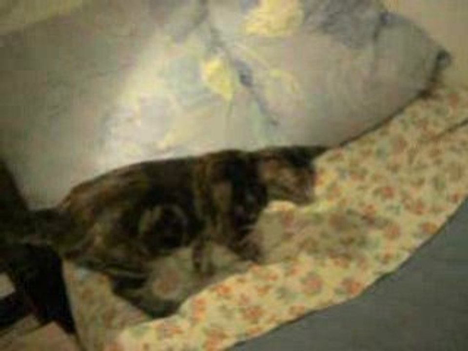 Bébé_10