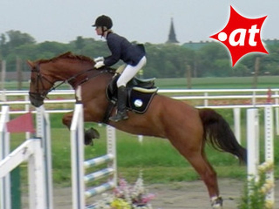 Barbara Hrubesch, Springreiten, Kottingbrunn (2008-054)