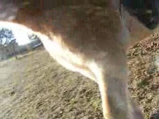 début jambette oscar