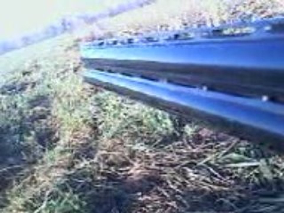 bam chasse au pigeon