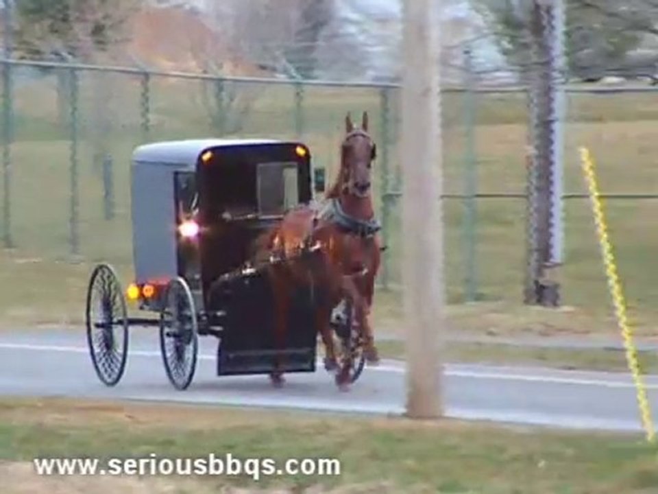 Pig Roasters, Barbeque Smokers, and Grills From Meadow Creek