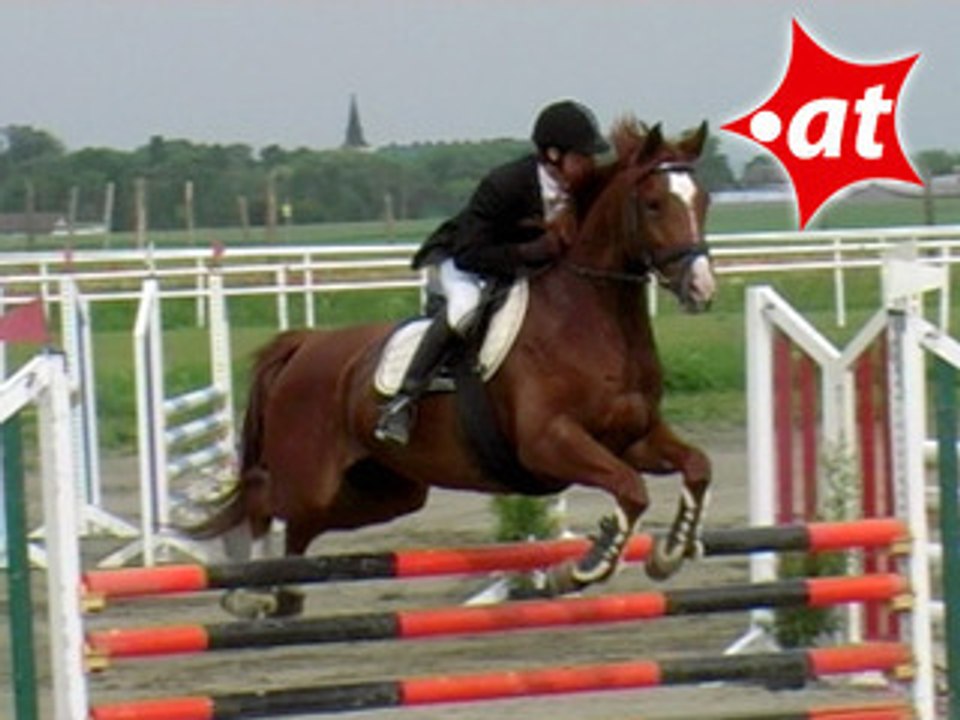 Franz Scheurer, Springreiten, Kottingbrunn (2008-056)