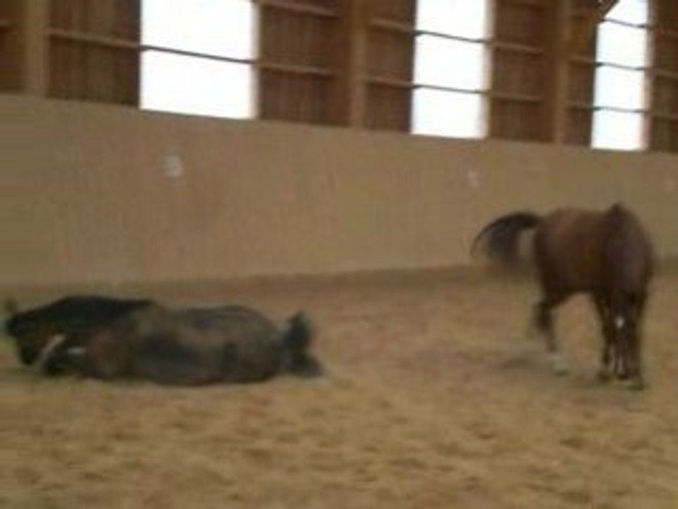 kiki et fé