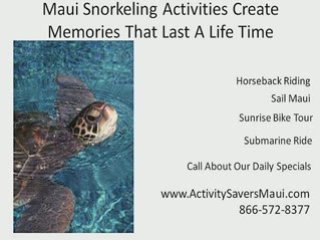 Maui Family Activities