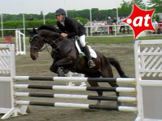 Michael Frank, Springreiten, Kottingbrunn (2008-057)