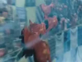 Bande- annonce Harry Potter