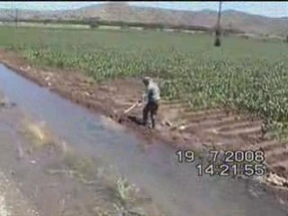 OKATAN CIFTLIGI - MISIR SULAMA (2)