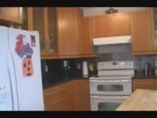 REAL ESTATE FOR SALE: 13105 SABO ST,  FRASER VALLEY