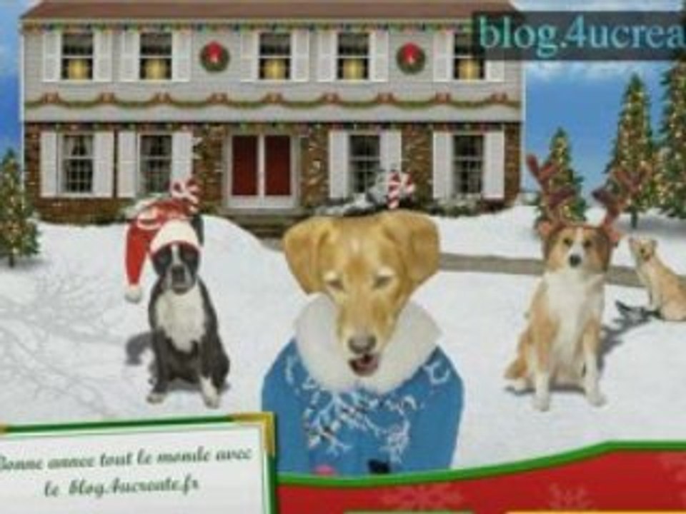 bob le chien chante I wish you a merry christmas (petcentric